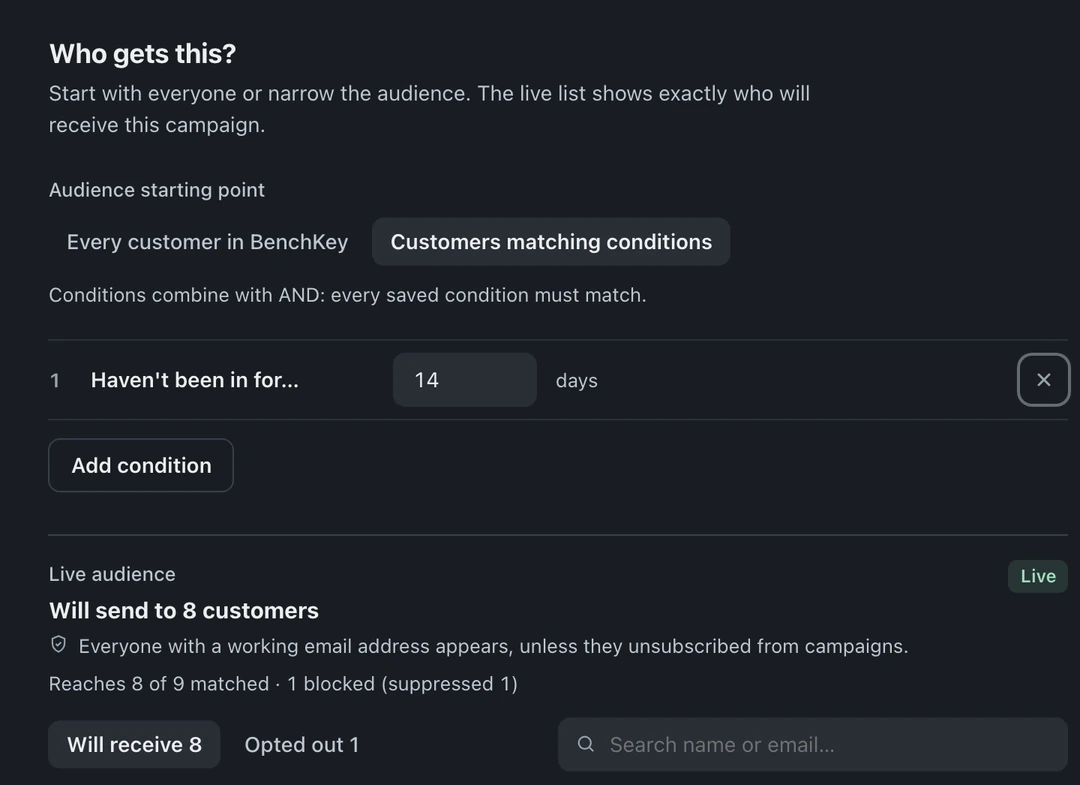 Campaign audience conditions with a preview of recipients and excluded contacts